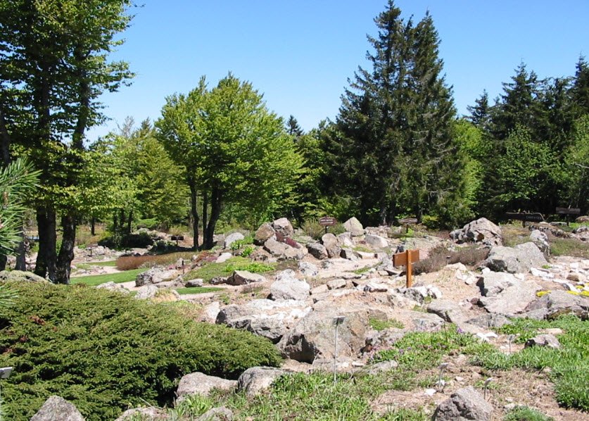 Altitude du Haut Chitelet Garden, Xonrupt-Longemer, France, France